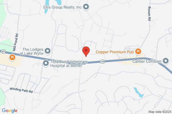 Wagener Handyman Services