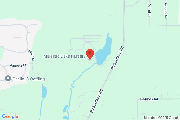 Majestic Oaks Tree and Shrub Care