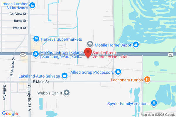 Brimacomb Beverly DVM