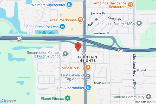 Palm Tree Dentistry - Lakeland