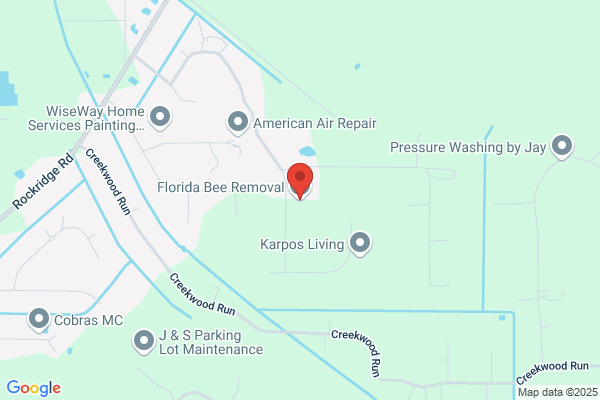 Florida Bee Removal