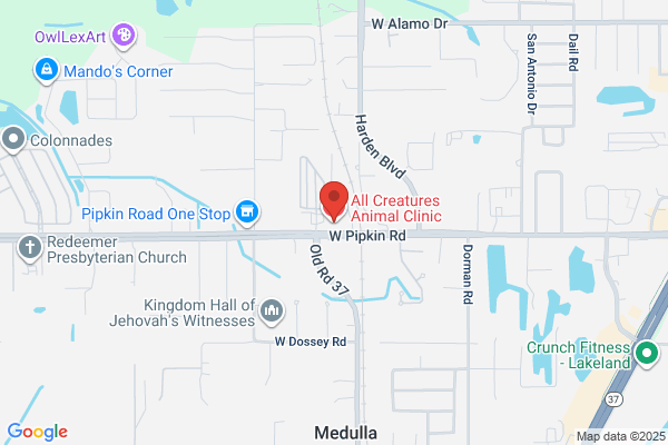 All Creatures Animal Clinic
