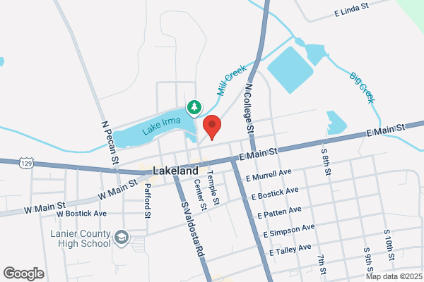 Lanier County of, Community Service