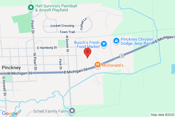 Pinckney's Auto Repair Center