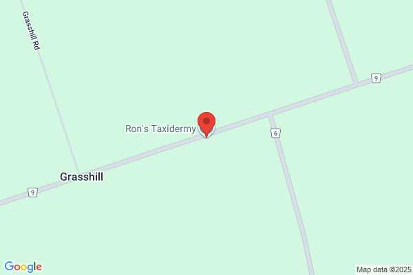 Ron's Taxidermy