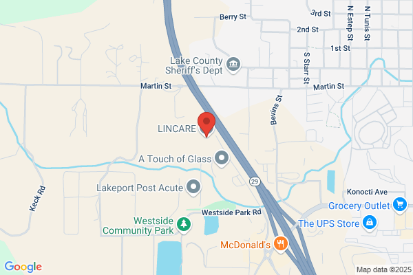 Lincare Inc