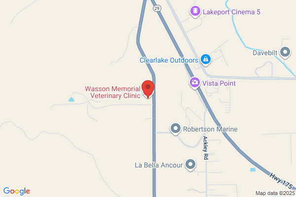 Wasson Memorial Veterinary Clinic
