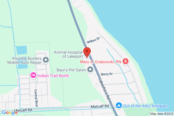 Animal Hospital of Lakeport