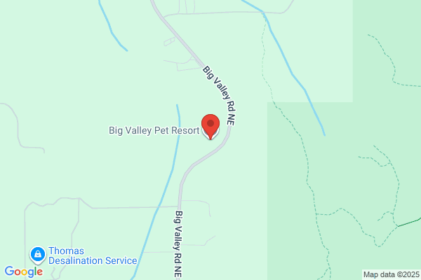 Blossom Valley Pet Resort