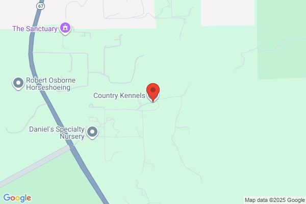 Kennedy's Kennels