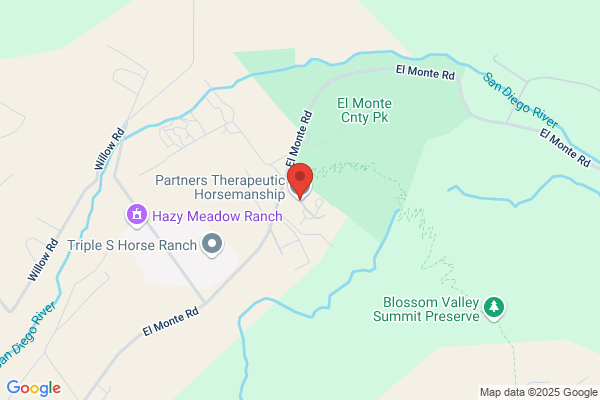 Therapeutic Equestrian Activity Center For Handicapped