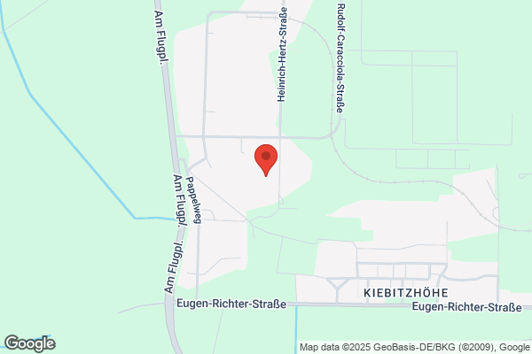 Renuzit