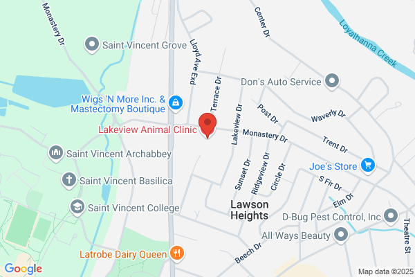 Lakeview Animal Clinic