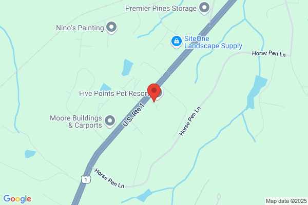 Sandhills Spay Neuter Veterinary Clinic