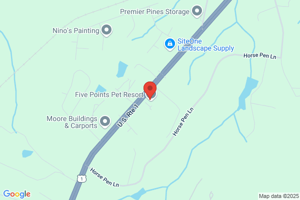 Companion Animal Clinic of the Sandhills