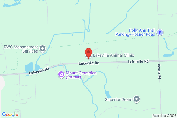 Lakeville Animal Clinic