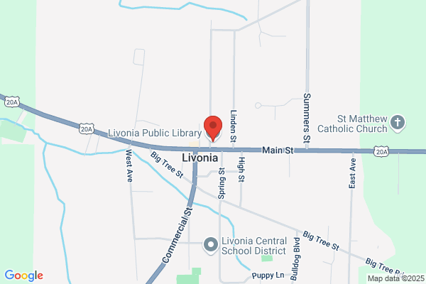 Libraries, Livonia Public Library