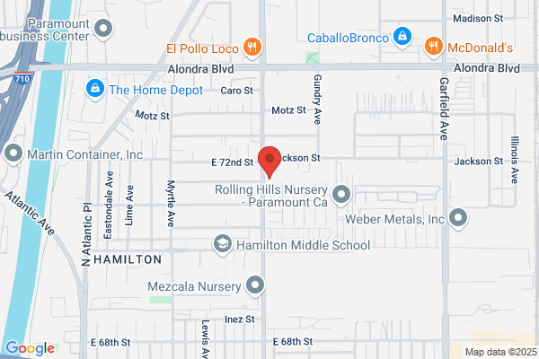Carousel Video