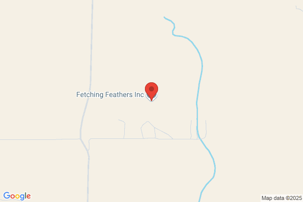 Fetchers Dog Care