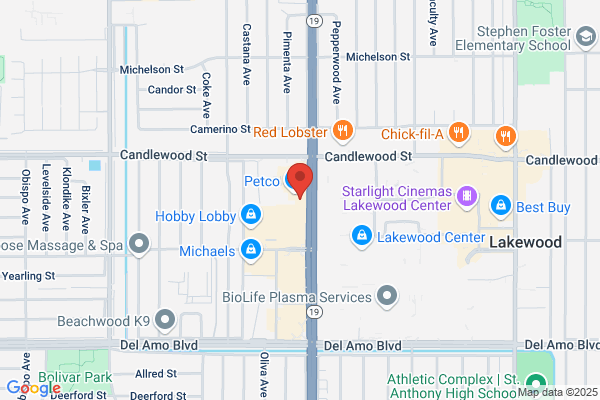 Lakewood Orthodontics