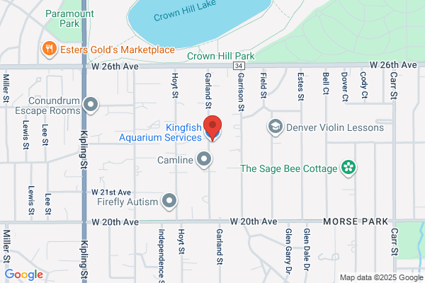 Kingfish Aquarium Service