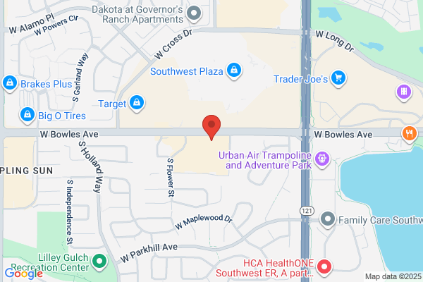 Bricks & Minifigs