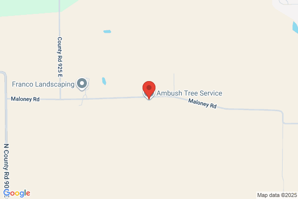 Ambush Tree Company