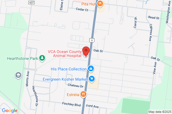 Ocean Dental Expressions of Lakewood, NJ (SBS Partner)
