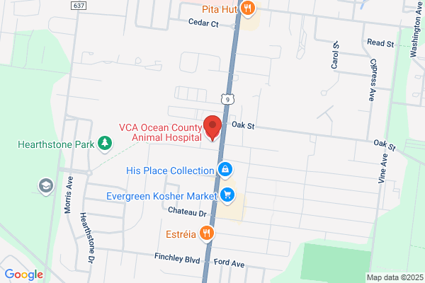 Ocean County Veterinary Hospital