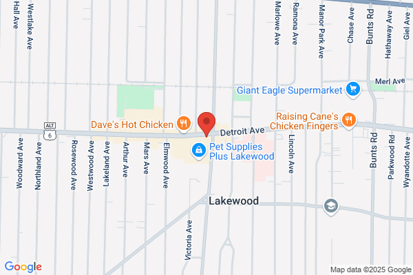 MetroHealth Recovery Resources - Lakewood