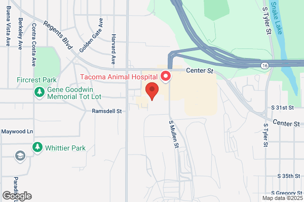 Tacoma Detailing Mobile Auto Care Services