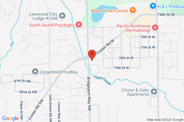 Ichiban Teriyaki