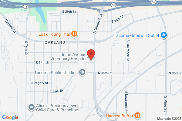 Jones Animal Hospital Inc., P.S.