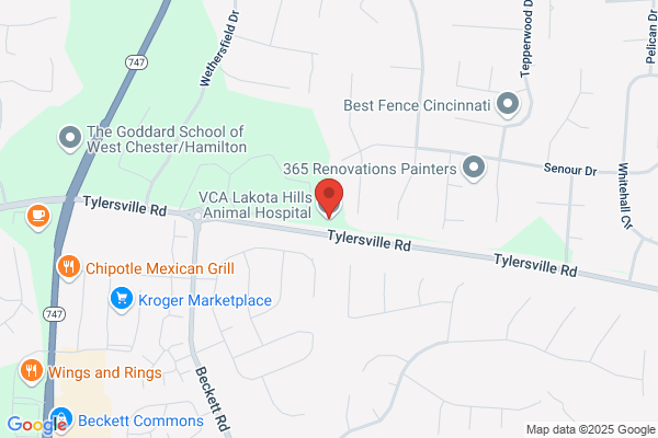 Lakota Veterinary Services