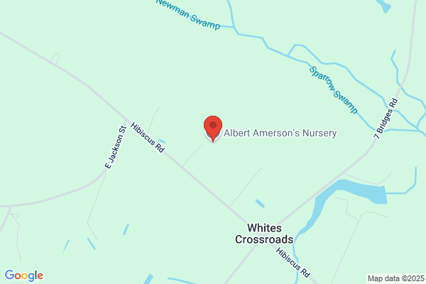 Amerson's Nursery