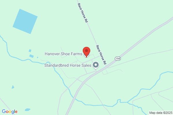 Hanover Shoe Farm Inc