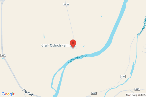 Caprock Ostrich Farm