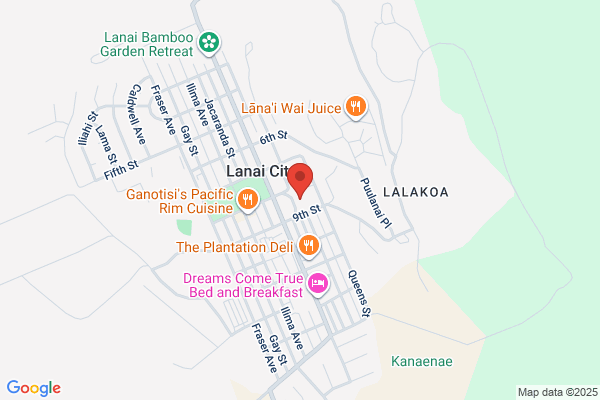 Lanai City Bar & Grill