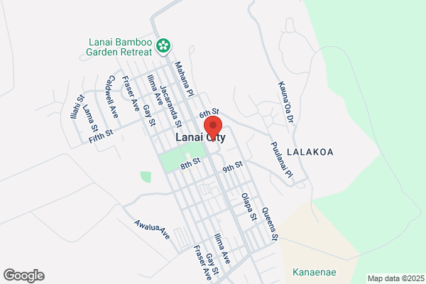 Coalition For A Drug Free Lanai