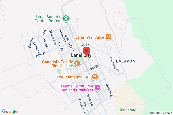 Lanai Counseling Service