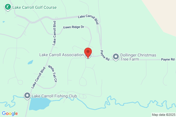 Lake Carroll Poa