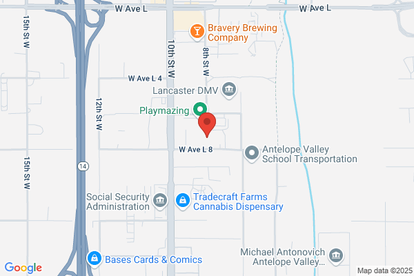 New Vision Automotive