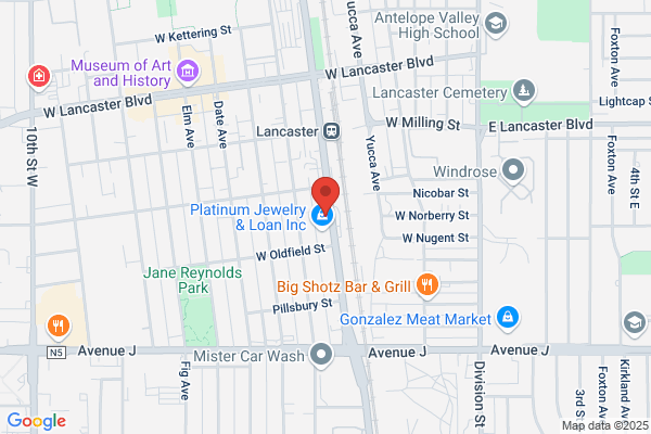 The Gun Shop