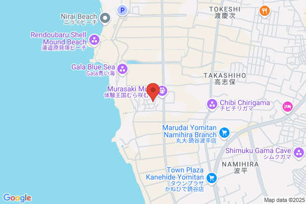 Okinawa-Te Karate