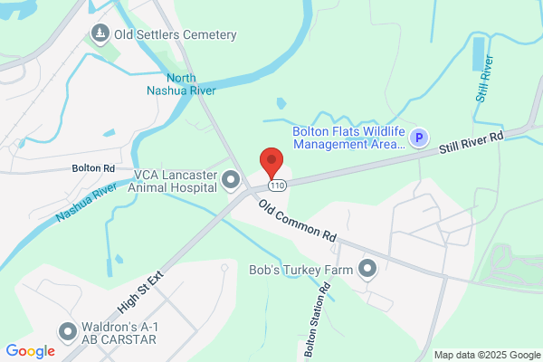 Lancaster Gardens Inc