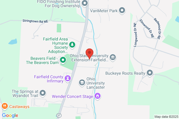 Early Childhood & Forest Rose School