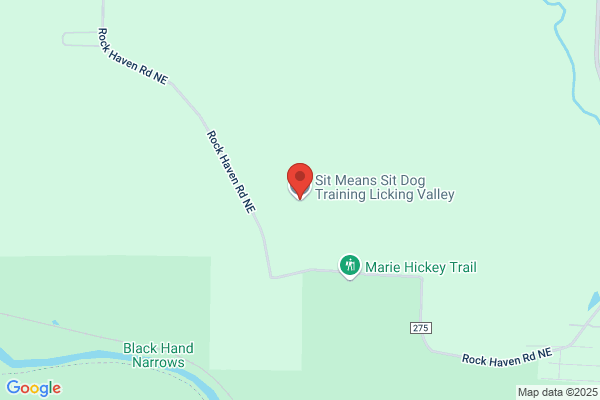Sit Means Sit Dog Training