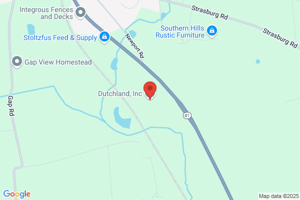 Dutchland Aviation