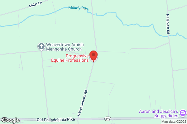 Progressive Equine Professions LLC