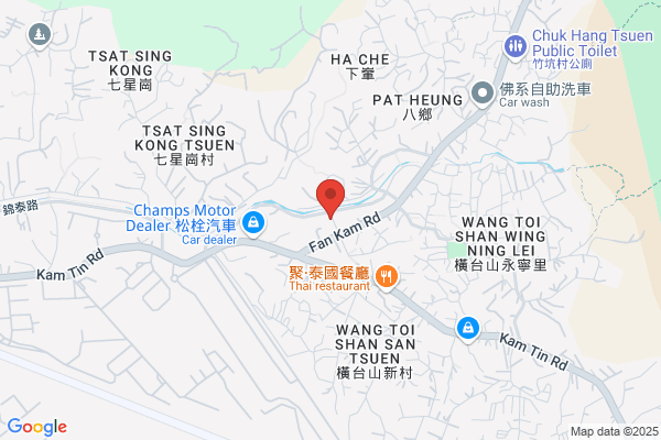 Motor & Ignition Service